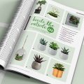Home interiors: Potted plants