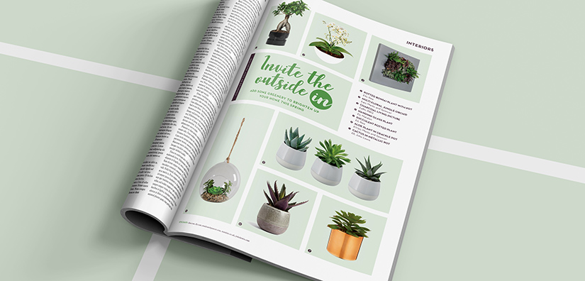 Home interiors: Potted plants