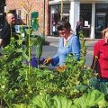 Growing in Liverpool: Top tips and community projects