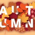Autumn guide: Things to do and see in Liverpool