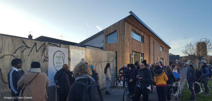 Squash Nutrition