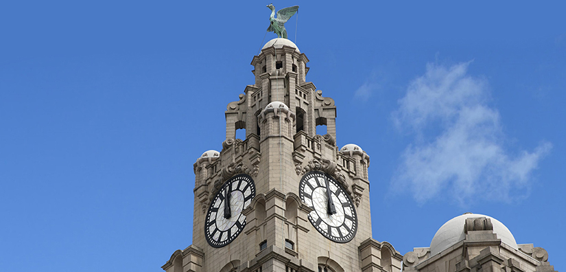 Liver Building