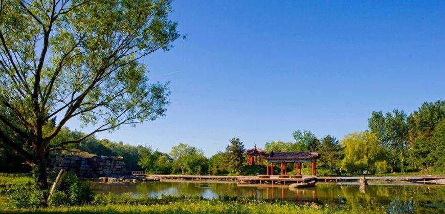 Festival Gardens