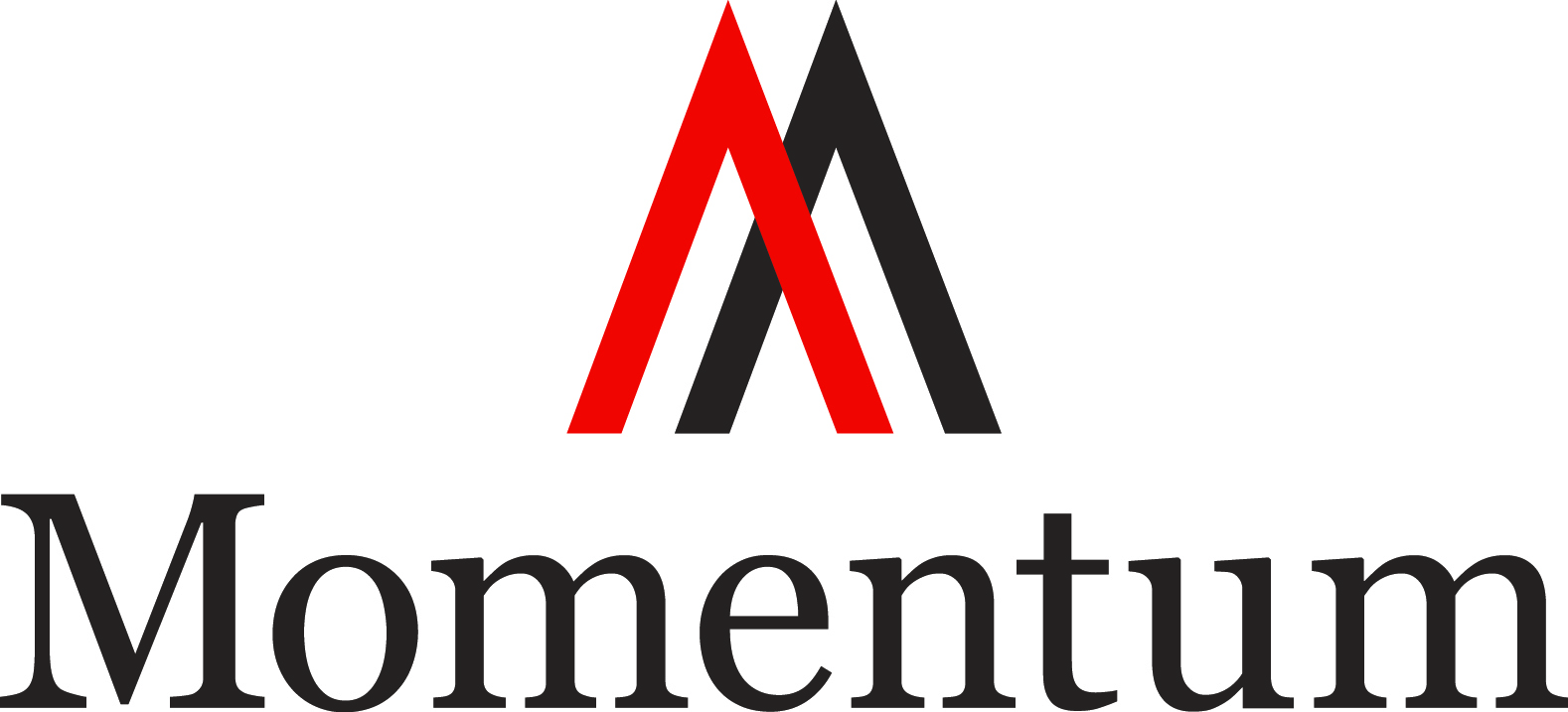 The Momentum Group